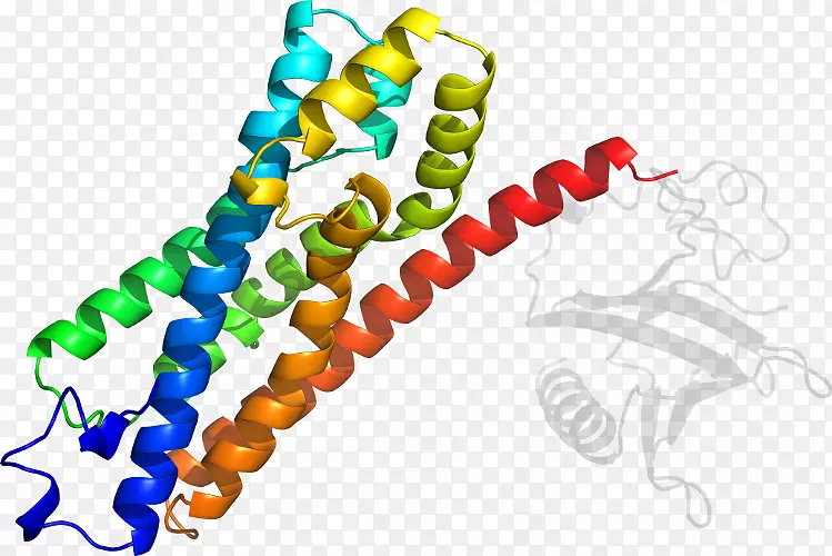 ������ϵ�в�Ʒ��������.fyve Rhogef��ph��-������