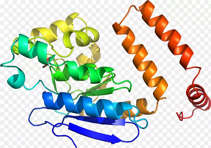 �������л�����������-������