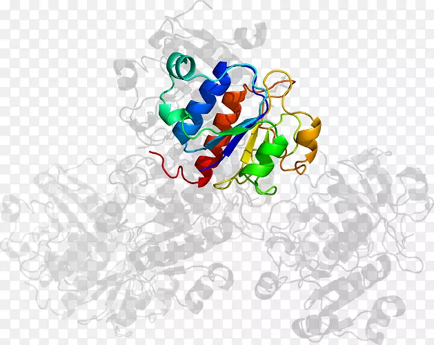 �����������鱦����-������