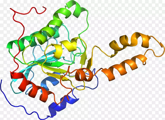 ����������������-������