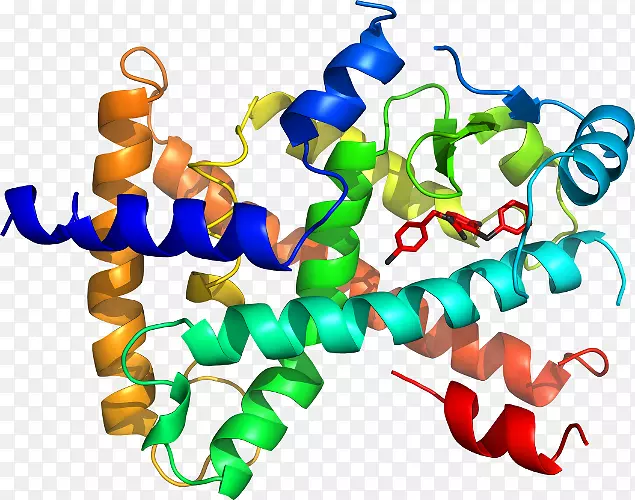 �������л����߶���-������