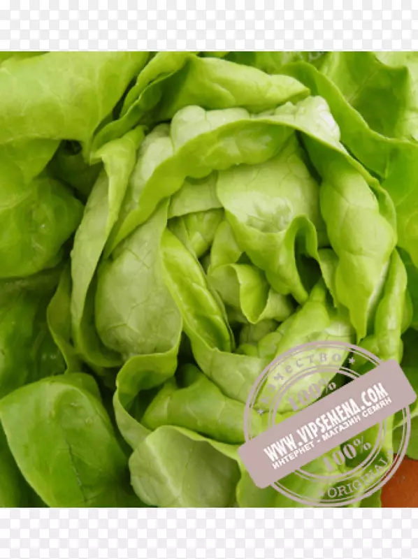 �߲�ɫ���߲�-������