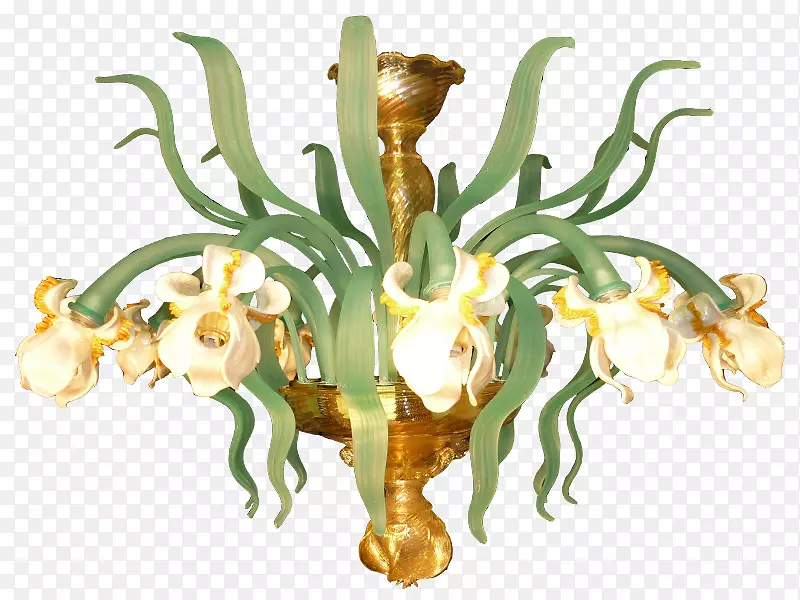 ����-ī��ŵ����������-����-������