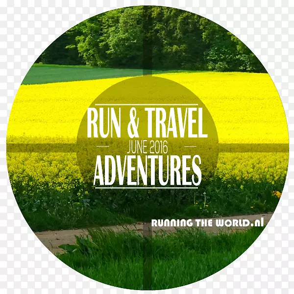 Ʒ��-������