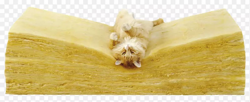 ��ҵʥ��ཨ��ƽ�岣��ë�Ĳ���-������