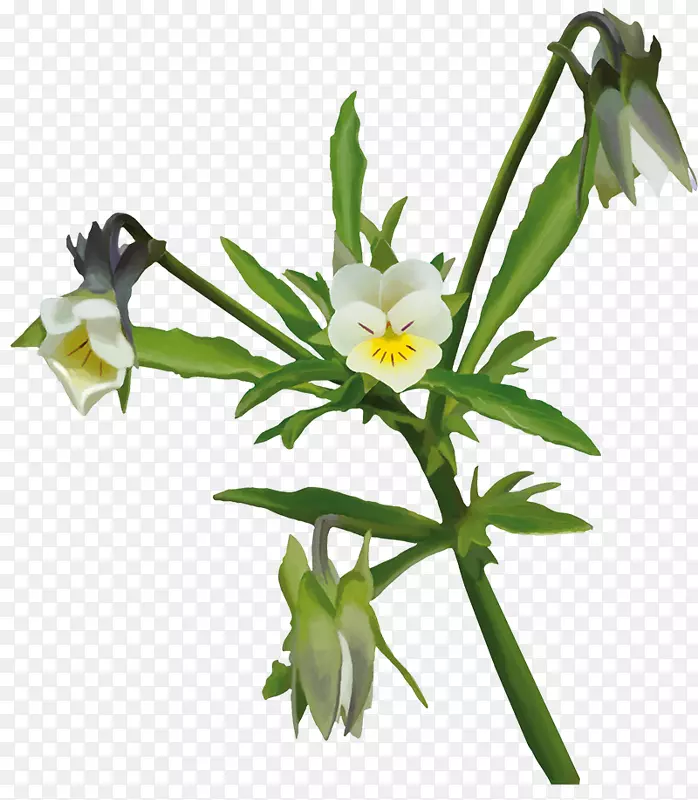 ����ֲ��ݱ�ֲ�ﾥֲ��.��-������