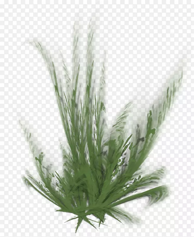 ���ֱ�Я����ͼ�ݱ�ֲ��ʻ�����-������