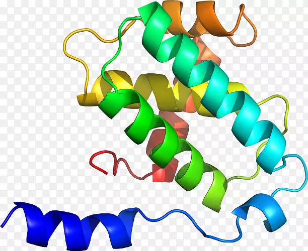 �������߲�Ʒ���л�����-������