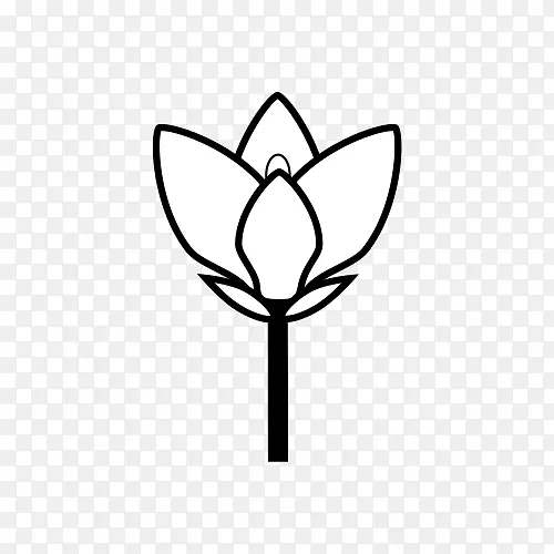 ������Ҷ������ֲ�ﾥ����ֲ��-ˮ�ɼ�-������