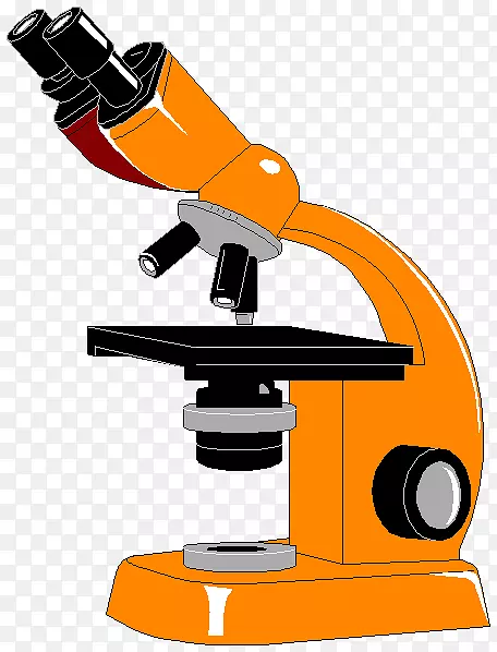 ��ѧ��΢����ѧ������ʵ����.mikroskopbild-������