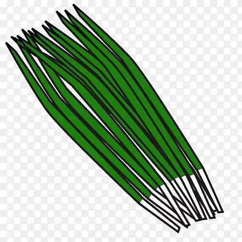 ���⣬�²ˣ��߲ˣ����ף���ʦ-������