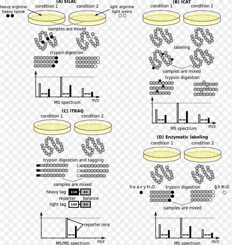 ��֢������������ѧ�ļ���ϵͳ����ѧ-������