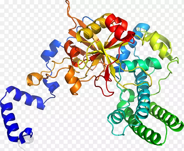 �������л�����������-������