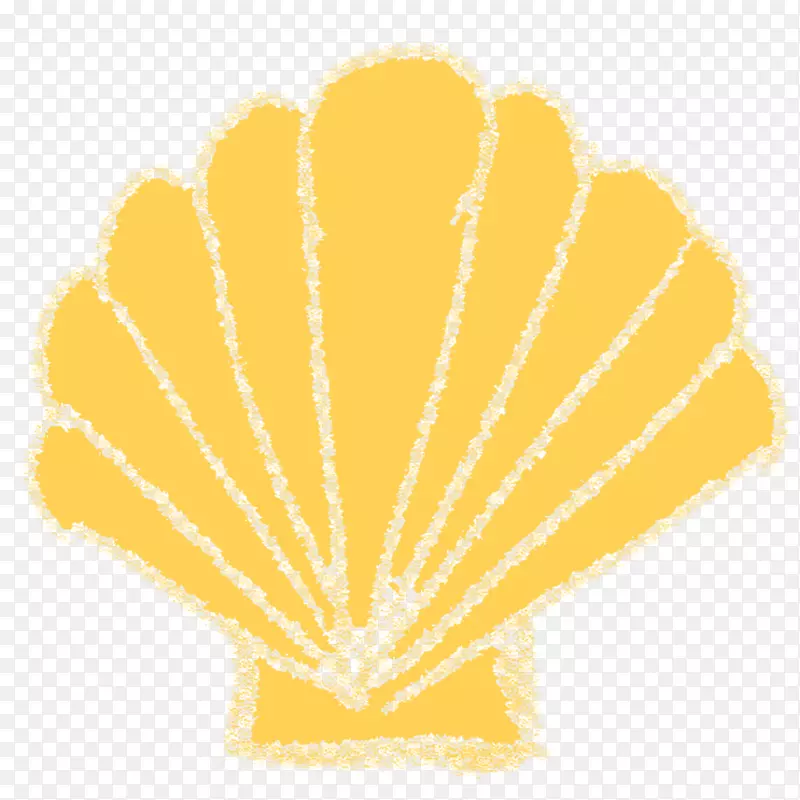 ����ֲ��Ҷ��ֲ��-������