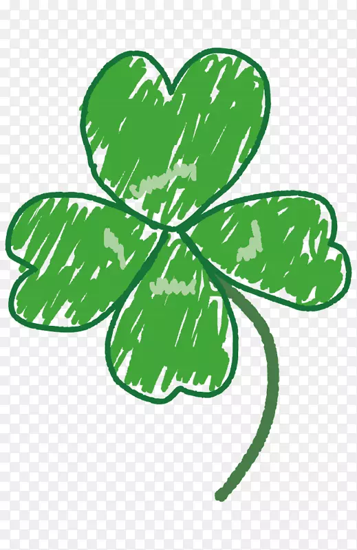 ������Ҷֲ�ﾥ����ֲ���֦-������