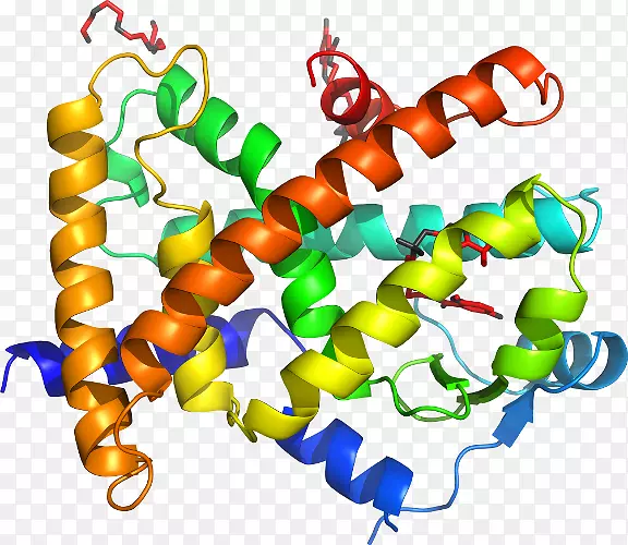 ��������.��������ø����ֳ�Ｄ�������-������