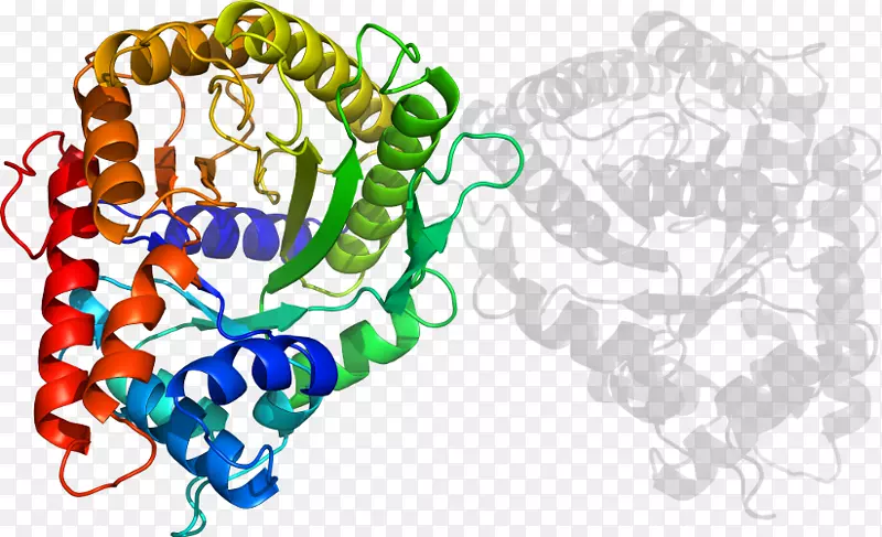 �������л�����������-������