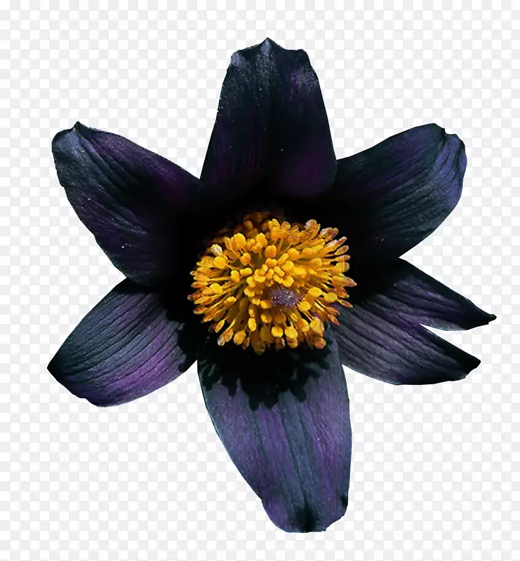 �ݱ�ֲ�￪��ֲ��-������