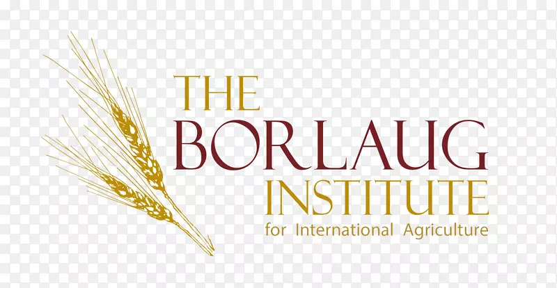 �ձ������ѿ�����-������