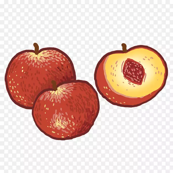 ����ʳ����ʳ��ݮ��Ȼʳ��-������