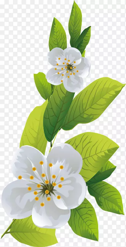 ƻ��԰����ӣ��-ľ����֦-������