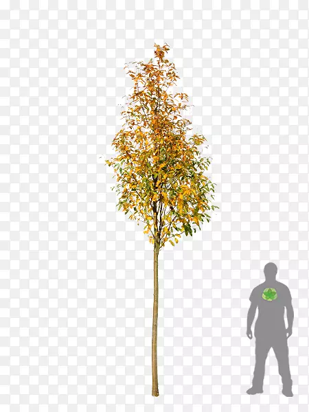 ˽���ӷ���-��-������