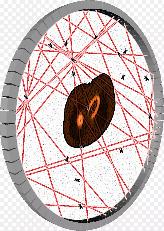 �����ӷ����������ʦ�����ؽ��������ѧ�����㷨����-������