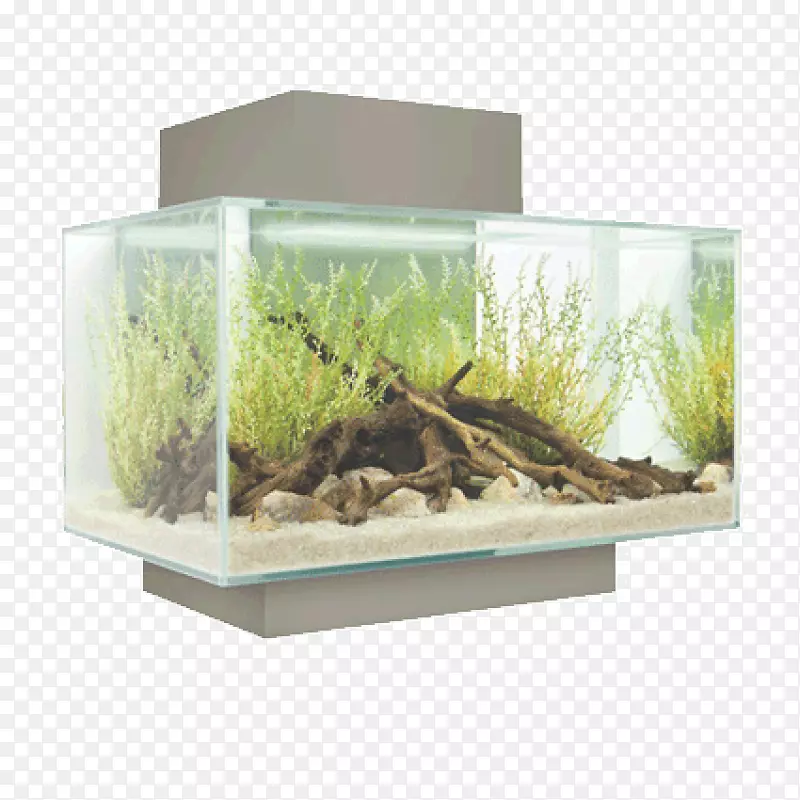 ����ˮ��ݰĴ�������������ˮ���-������