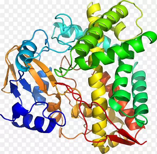 �������л����߶���-������