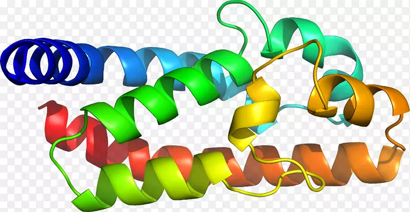 ��������Ʒ��ɫS.A��-������