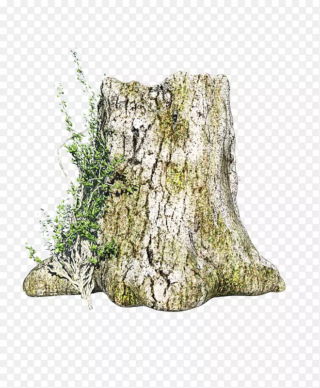 pngͼƬͼ�񲩿����ɻ滭-tronc d��arbre����-������