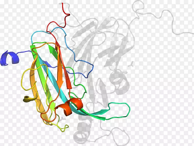 �������߲�Ʒ���л�����-������