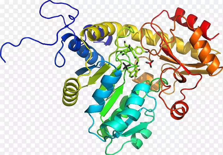 �������߲�Ʒ���л�����-������