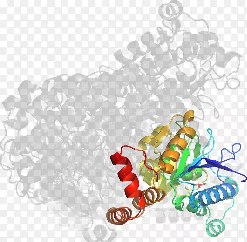 ������ʳƷ-������