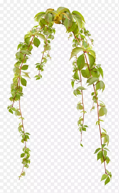 pngͼƬͼƬ������-��-������