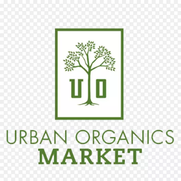 �ձ���ѧ����������-������