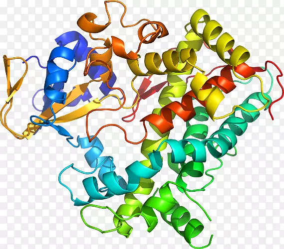 �������л�����������-������