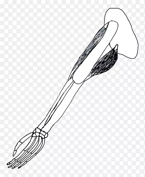 ���������������þ�h&m��ͼ-˺�ѵ���ͷ���ȸ�-������