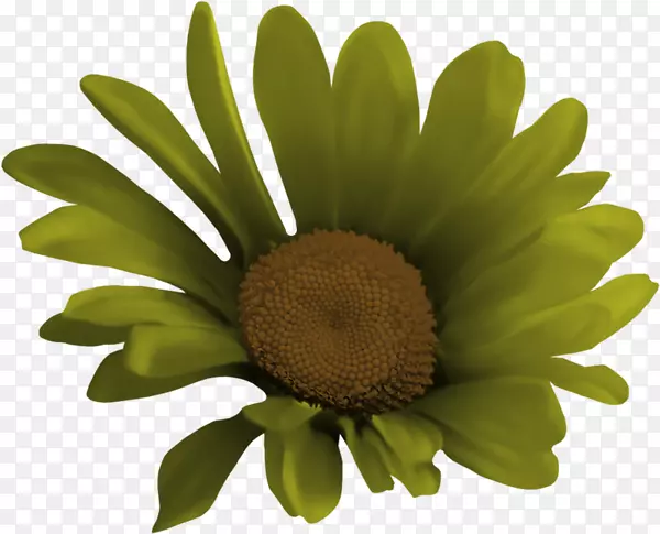 ͼƬ��ͼpngͼƬ����ͼ-������