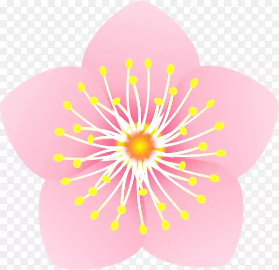 �ۺ�ɫ����ֲ��-������