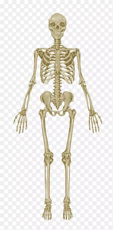 ����ϵͳ����ͼ�������������ʹ���-������