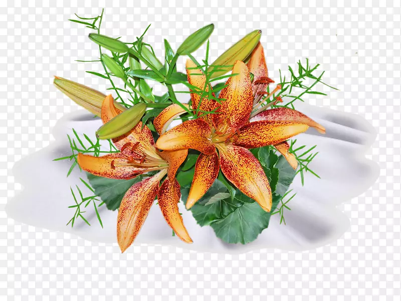 �����߲�װ�β���-������