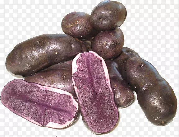 �����������Ӷ���㳦-������