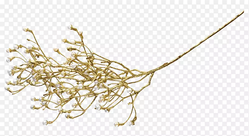 ���벩��ʥ����ͼƬ���-������