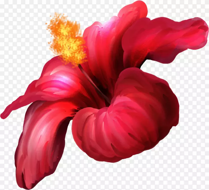 ����ͼƬ����pngͼƬ�����-������