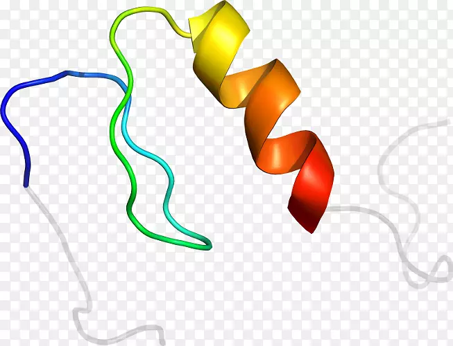 �����鱦��������-����-������