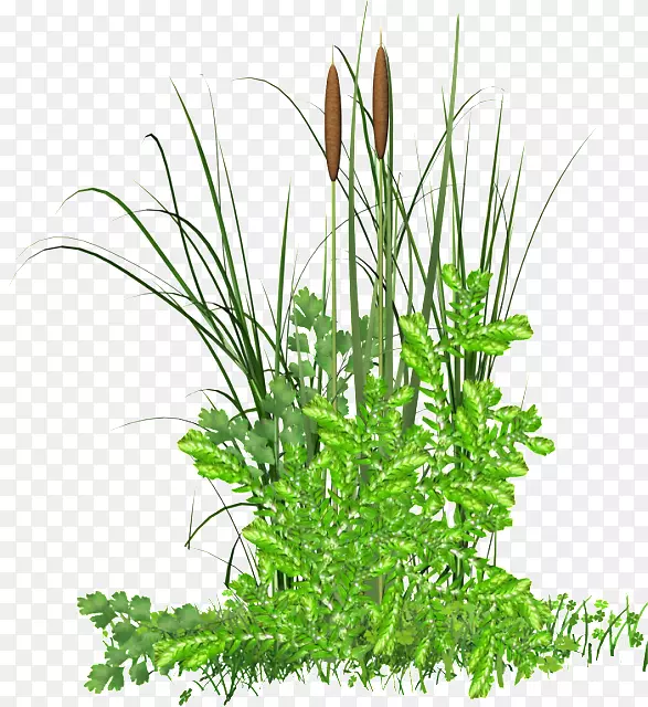 pngͼƬ��������ͼ����Ʋ�ͼ.����-������