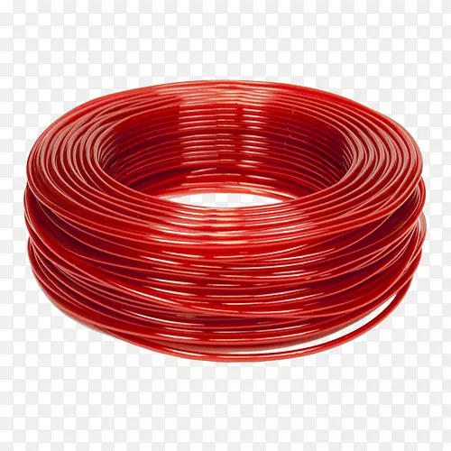 ��˿��ɫS.A.-����-������