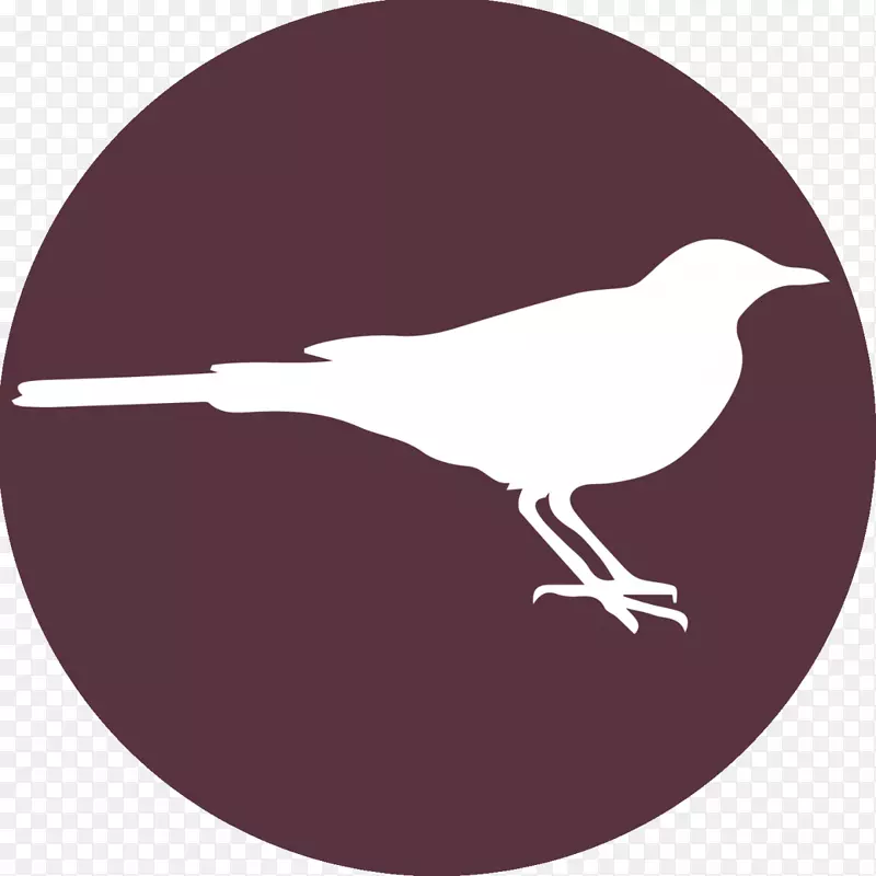 �������-������