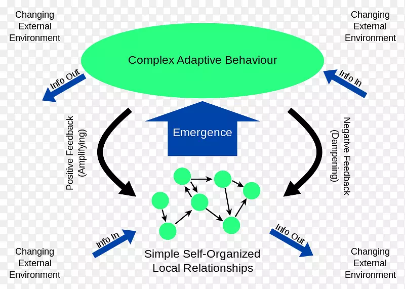 ��������Ӧϵͳ�����Կ�ѧ-������